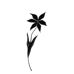 Black and white illustration of a flower with five petals and long stem, leaves.