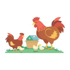 Set of farm or home chickens bird with rooster eating