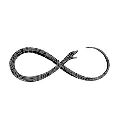 A black snake biting its tail forming an infinity symbol against a white background.