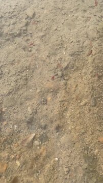 Pink salt lakes in Torrevieja, Spain. Salt mining