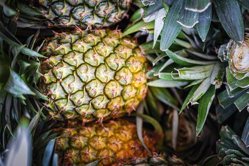 Top view of fresh pineapple fruit