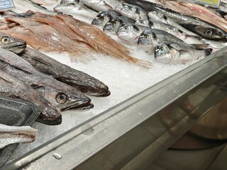 Fresh fish on ice in the supermarket.