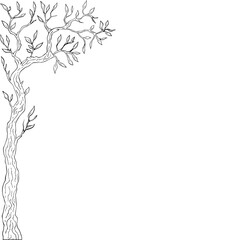 Detailed line drawing of a tree with leaves and branches on a white background.
