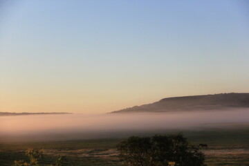 In My Travels on the Prairies and Abandoned Beauty