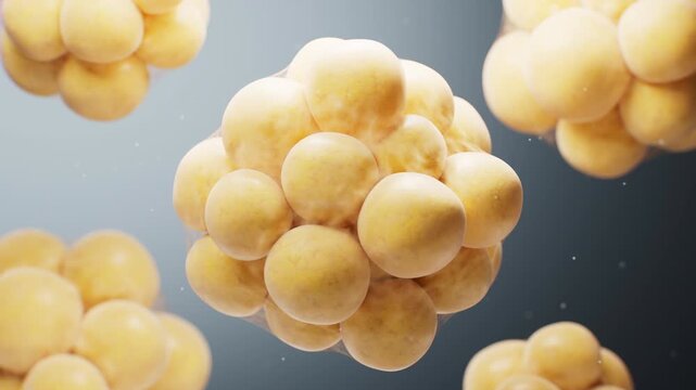 Biomedical microscopic fat cells structure, 3d rendering.