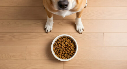 Adorable dog waiting patiently for food in a bowl on wooden floor ready to eat