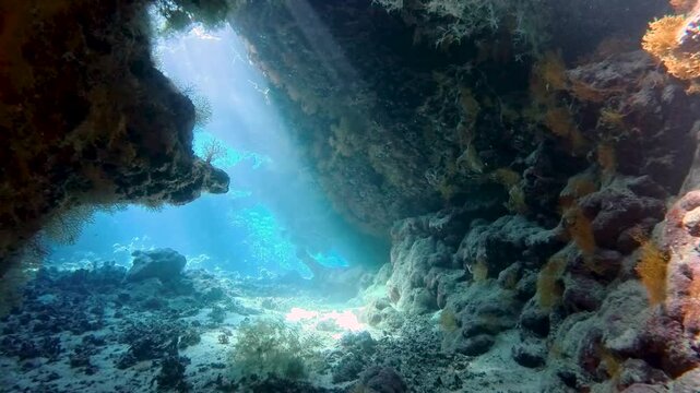 Landscape view of sunlight sunbeams dancing from the surface in underwater sea cave with rock walls