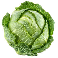 Fresh Green Cabbage Isolated on White Background for Food Photography