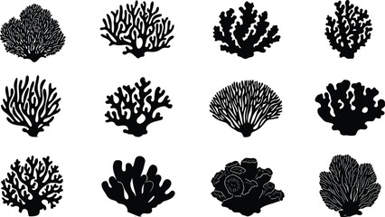 Silhouette Collection of Coral Reef Shapes Isolated on White Background for Marine Life, Ocean Nature, Underwater and Sea Illustration Design