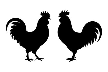 silhouette of rooster, bird farm animal