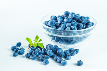 Ripe shiny blueberries with a branch on white background.