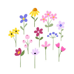 Flowers digital illustration, floral set, spring design, watercolor hand painting. Perfectly for printing, sublimation.	