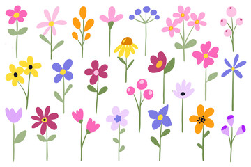 Naklejka premium Flowers digital illustration, floral set, spring design, watercolor hand painting. Perfectly for printing, sublimation. 