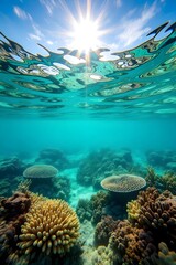 Fototapeta premium A stunning underwater view of a coral reef with sunlight piercing through the waters surface, creating a mesmerizing scene of marine life and natural beauty