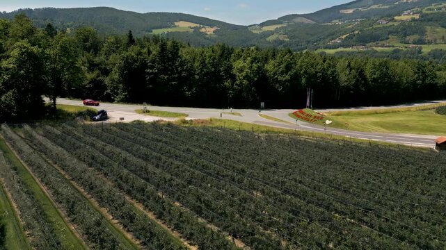 Aerial view of an apple orchard near Lake Stubenberg, Styria, Austria