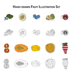 Hand-drawn fruit illustration set with blueberries, melon, cherimoya, pomegranate, papaya, passion fruit, strawberry, and more in both colored and vintage sketch styles
