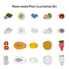 Hand-drawn fruit illustration set with blueberries, melon, cherimoya, pomegranate, papaya, passion fruit, strawberry, and more in both colored and vintage sketch styles