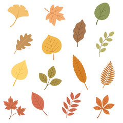 Obraz premium 秋の落ち葉イラストセット（16種類）｜Autumn Leaves Illustration Set (16 Types)