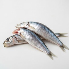 Fototapeta premium Fresh Raw Fish Stacked on White Background Minimalist