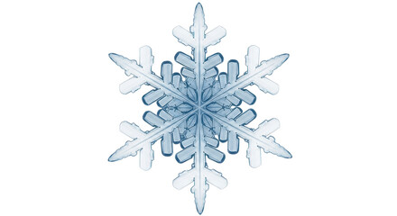 Isolated snowflake close up