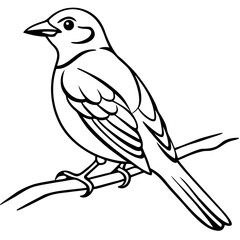 Obraz premium A bird seating on the branch line art