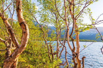 Picturesque mountain lake Maly Vudyavr in the Khibiny Mountains.