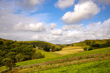 Fototapeta premium Hill farm surrounded by hills, mountains, fields, trees and dry stone walls, Staveley, The Lake District, Cumbria, England