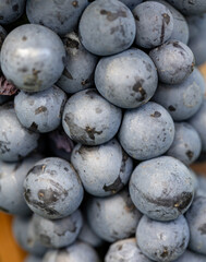 A bunch of grapes with a bunch of black spots on them
