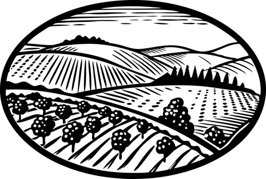 Orchard landscape illustration fruit trees in fields, rolling hills, rural countryside, agriculture and farming design