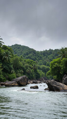 Obraz premium Beautiful river in the tropical mountains