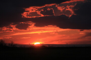 In My Travels on the Prairies and Abandoned Beauty