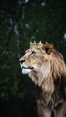Majestic lion wearing a golden crown in a forest setting