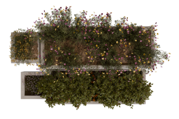 Top-down view of multiple raised garden beds filled with flowering plants and foliage