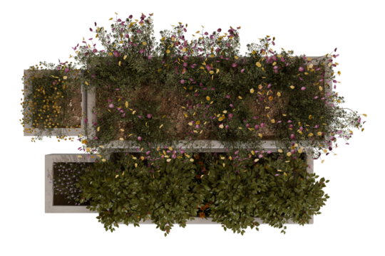 Top-down view of multiple raised garden beds filled with flowering plants and foliage