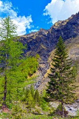 Obraz premium Wanderweg von der Wasserfallarena von Batöni nach Weisstannen im Weisstannental , Mels, Kanton St. Gallen