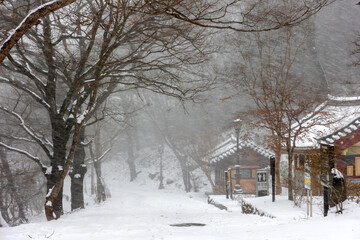 winter in the village