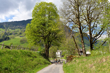 Wanderweg in Weisstannen im Weisstannental, Mels, Kanton St. Gallen © Ilhan Balta
