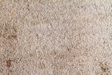 Close-up of a Rough, Textured Surface