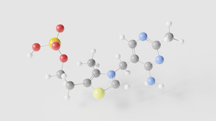 thiamine monophosphate molecule 3d, molecular structure, ball and stick model, structural chemical formula phosphate ester