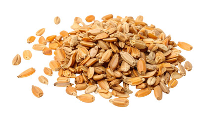 Fototapeta premium Carrot seeds (aromatic) isolated on solid white background