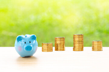 piggy bank and coins stack over blurred green garden  background