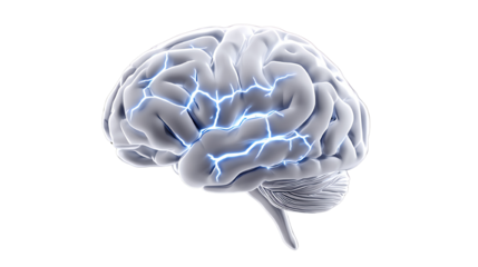 Realistic brain illustration with electric sparks, isolated on a transparent background.
