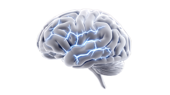 Realistic brain illustration with electric sparks, isolated on a transparent background.