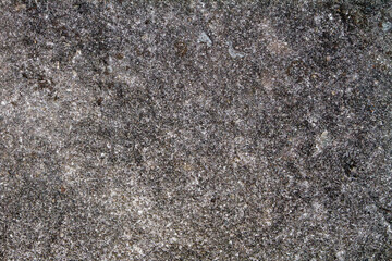 Rough Concrete Surface Texture