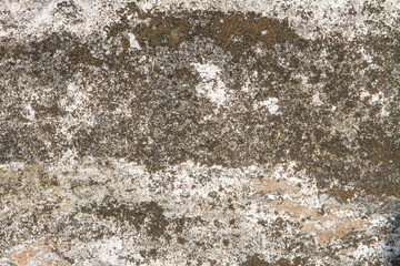 Weathered Concrete Surface Texture