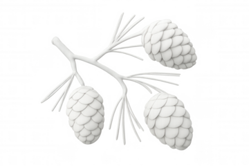 Pine branch featuring three white pine cones, rendered digitally against transparent backdrop