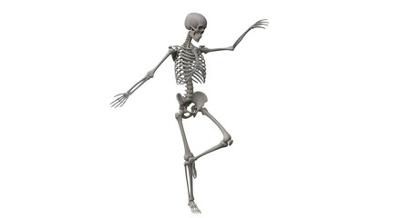 Isolated dancing human skeleton