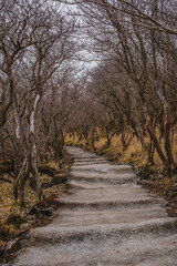 Fototapeta premium Yamanami Highway in Kyushu, Japan