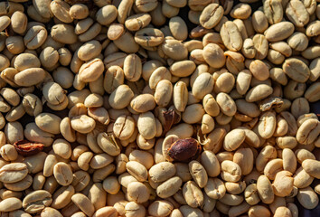 Raw Coffee Beans from Popayán, Colombia