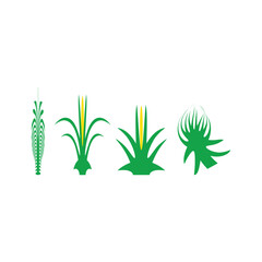 Stylized Botanical Forms – Abstract Plant Illustrations in Green and Yellow Array